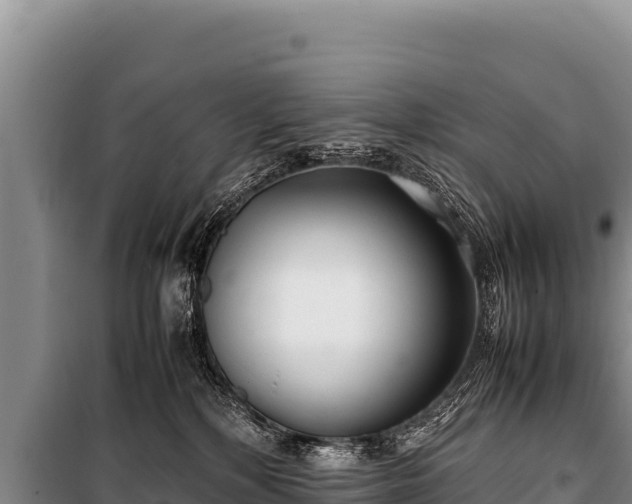 X0000100860232200806271207