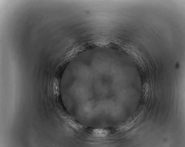 X0000100860234200806271207