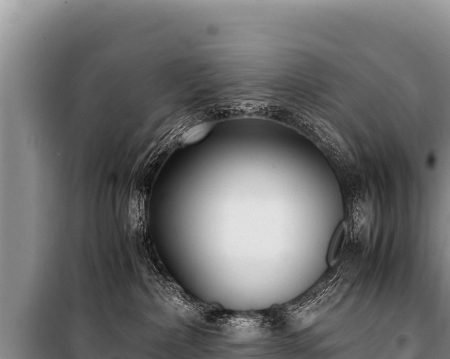 X0000100860236200806271207