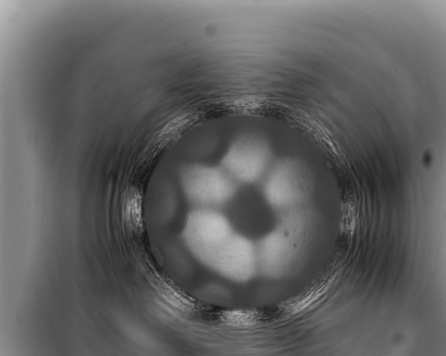 X0000100860238200806271207