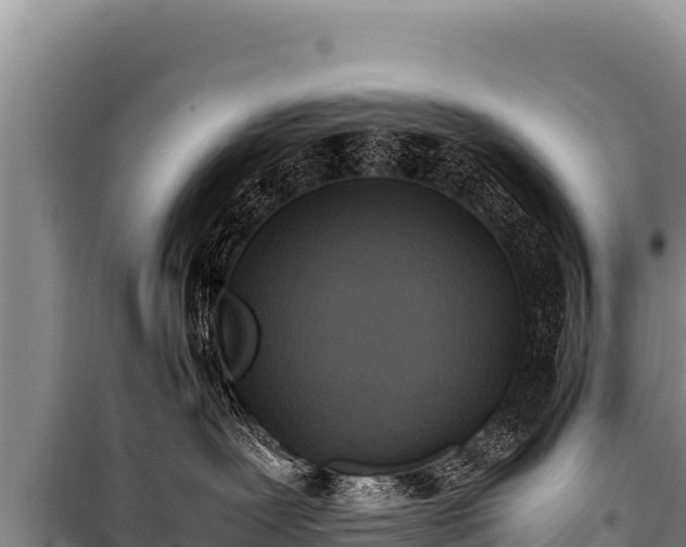 X0000100860239200806271207