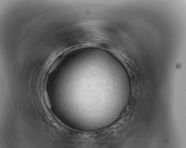 X0000100860241200806271206