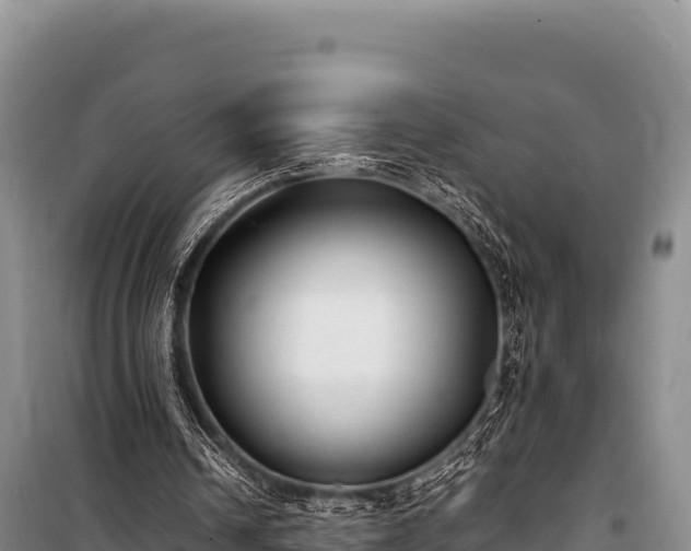 X0000100860242200806271206