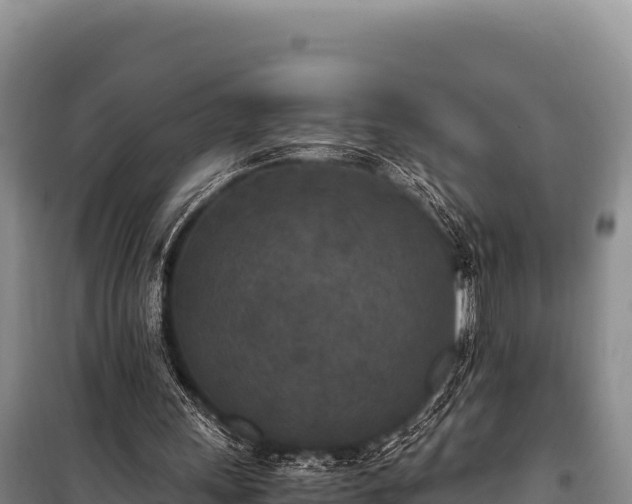 X0000100860243200806271206