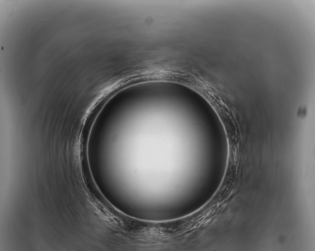 X0000100860244200806271206