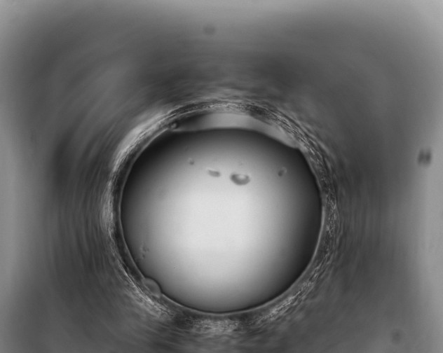 X0000100860245200806271206