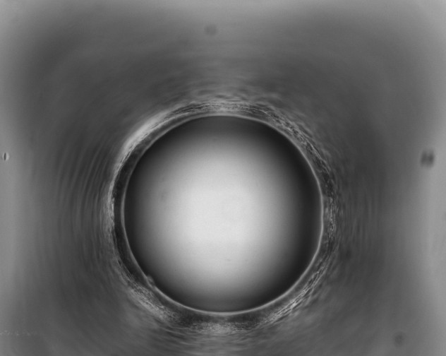 X0000100860246200806271206