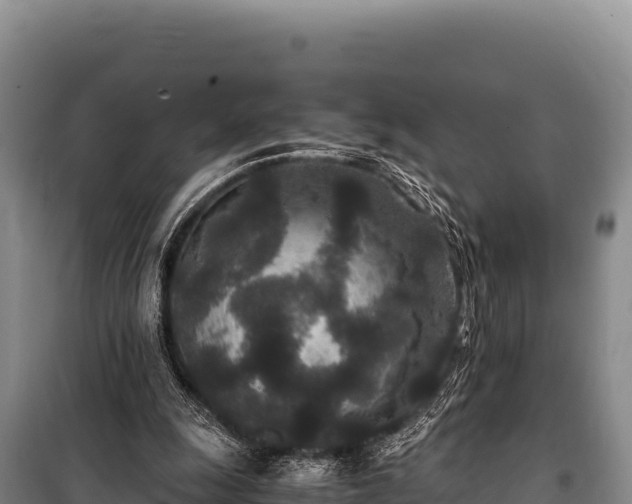 X0000100860247200806271206