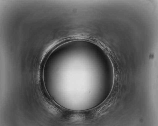 X0000100860248200806271206