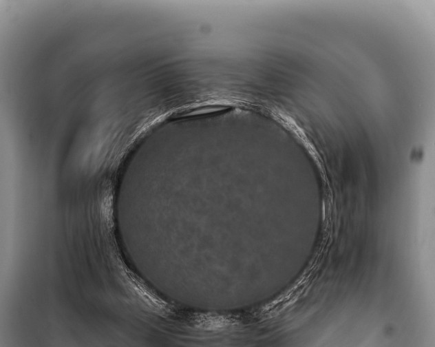 X0000100860249200806271206