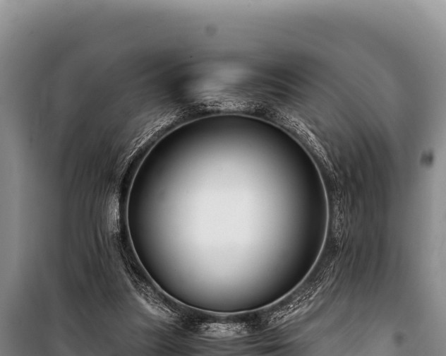 X0000100860251200806271206