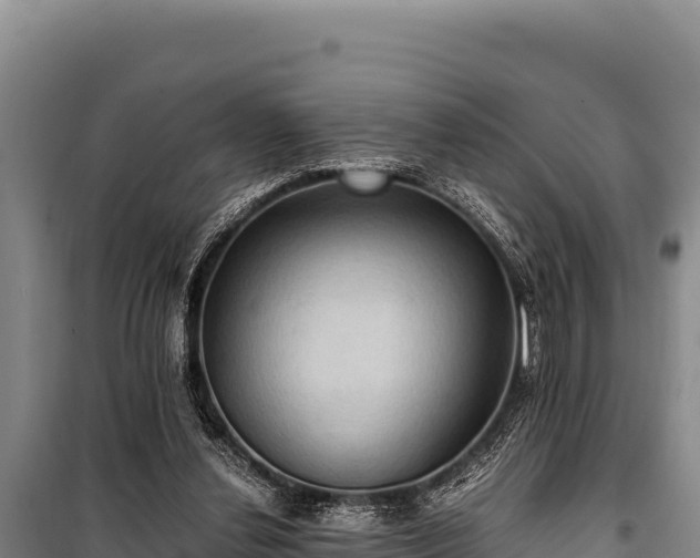 X0000100860252200806271206