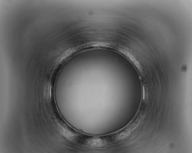 X0000100860253200806271206