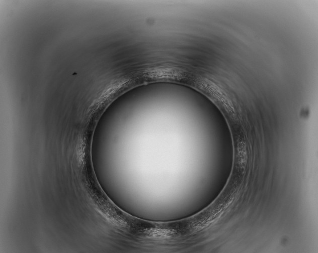 X0000100860255200806271206