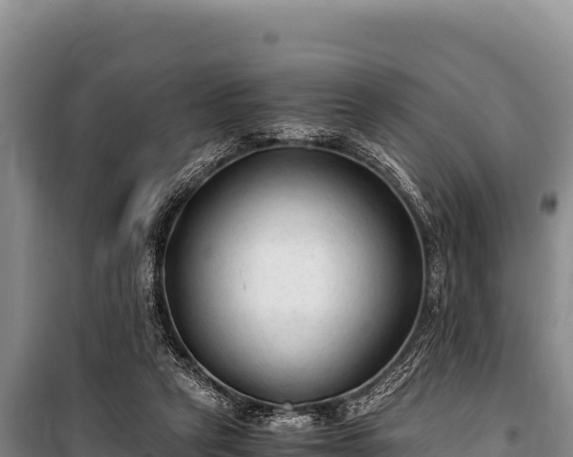 X0000100860257200806271206