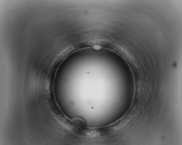 X0000100860258200806271206