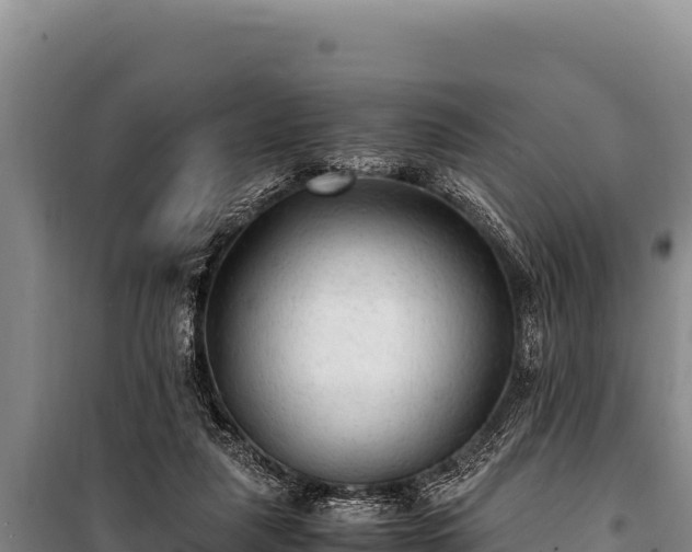 X0000100860259200806271206