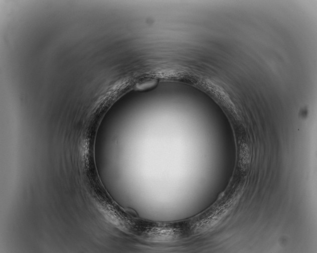 X0000100860260200806271206