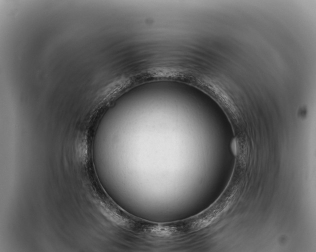 X0000100860261200806271206