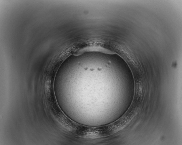 X0000100860263200806271206