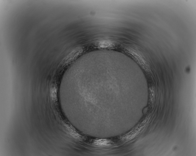 X0000100860269200806271207