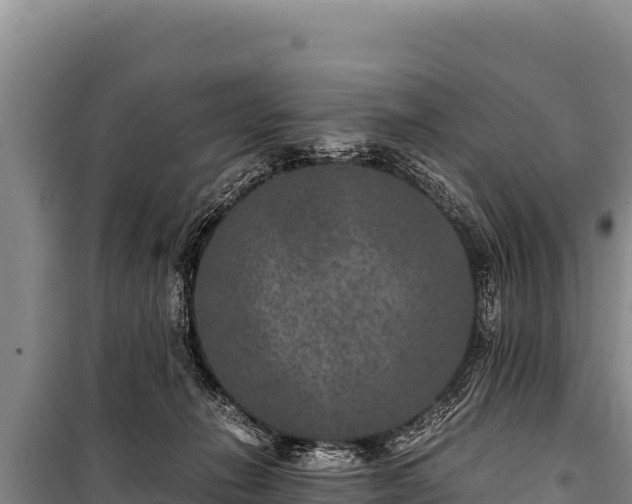 X0000100860270200806271207