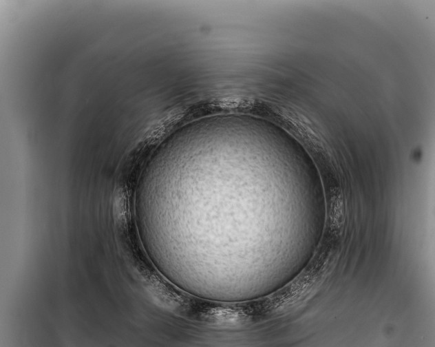 X0000100860272200806271207