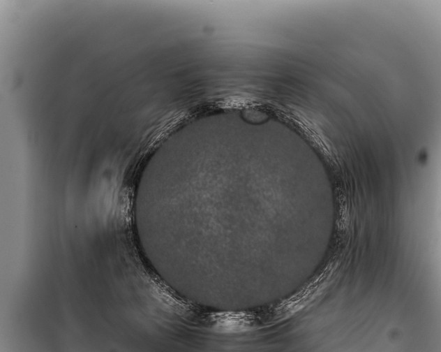 X0000100860273200806271207