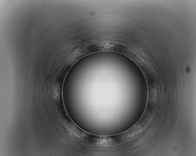 X0000100860274200806271207