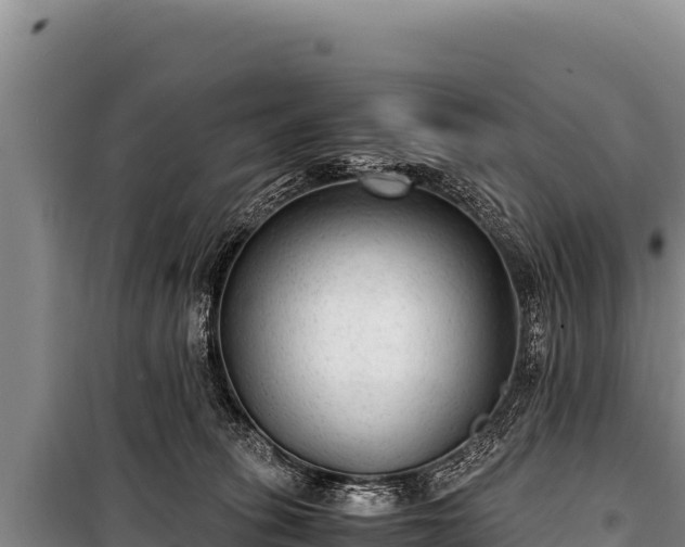 X0000100860275200806271207