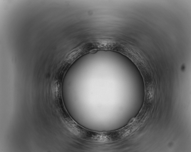 X0000100860276200806271207