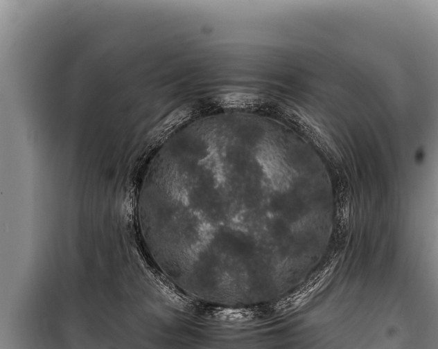 X0000100860277200806271207