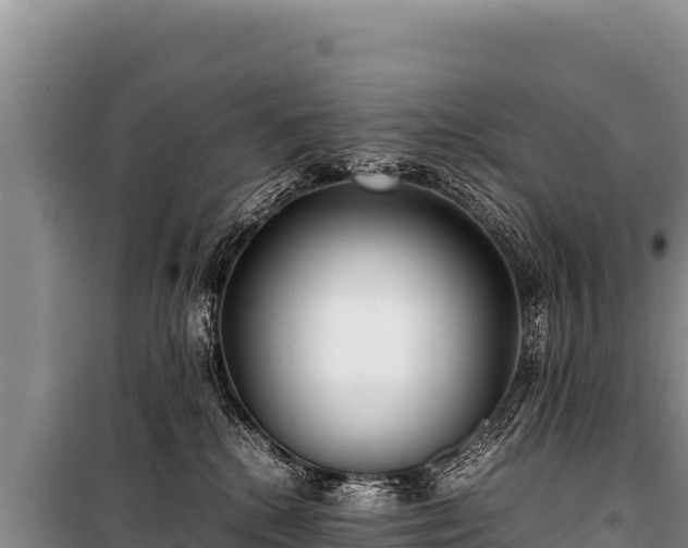 X0000100860280200806271207