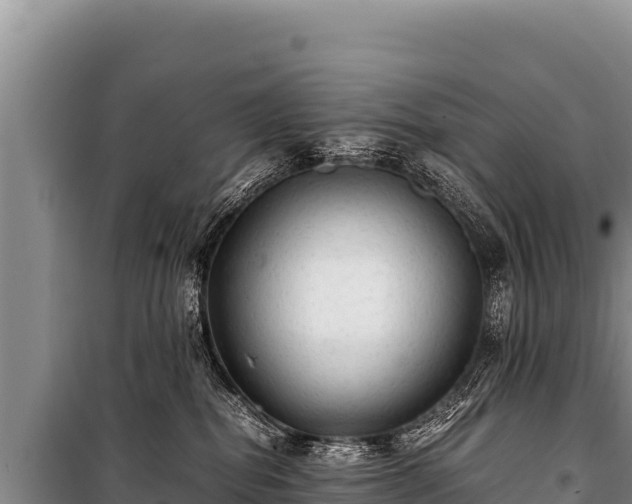 X0000100860282200806271207