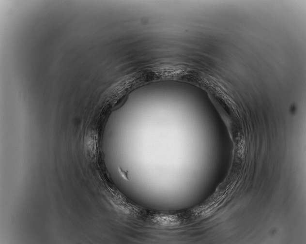 X0000100860283200806271207