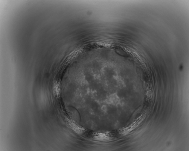 X0000100860285200806271207