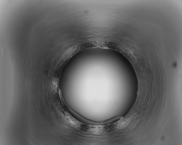 X0000100860288200806271207