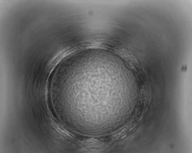 X0000100860290200806271206