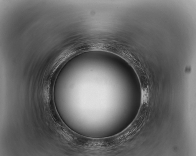 X0000100860291200806271206