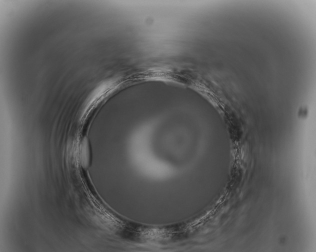 X0000100860293200806271206