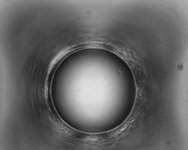 X0000100860294200806271206