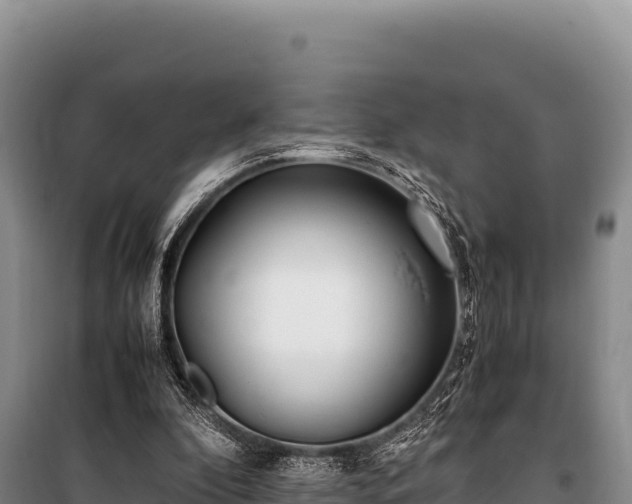 X0000100860296200806271206