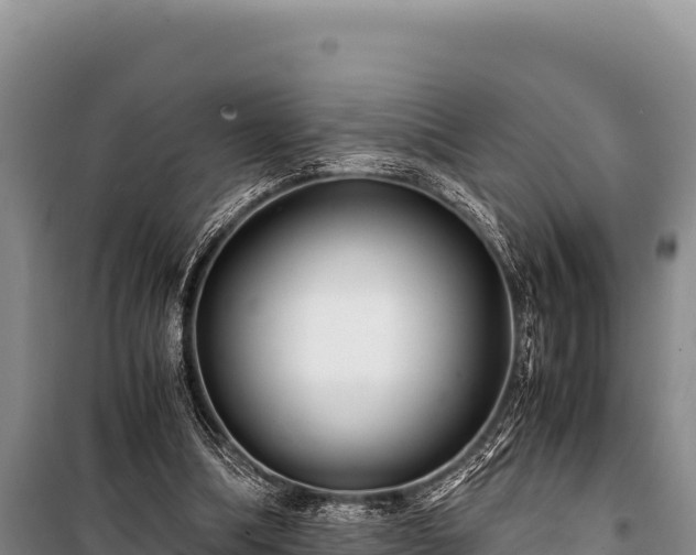 X0000100860298200806271206