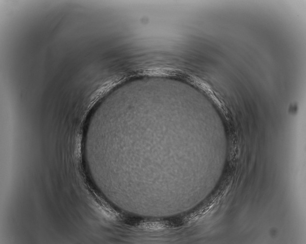 X0000100860299200806271206