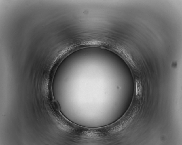 X0000100860300200806271206