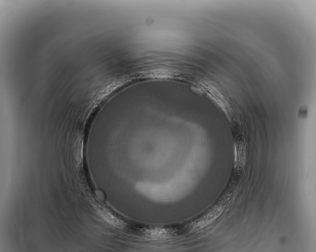 X0000100860301200806271206