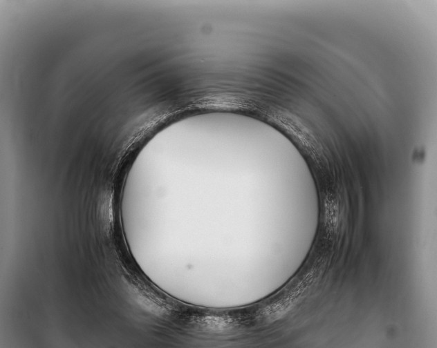 X0000100860302200806271206