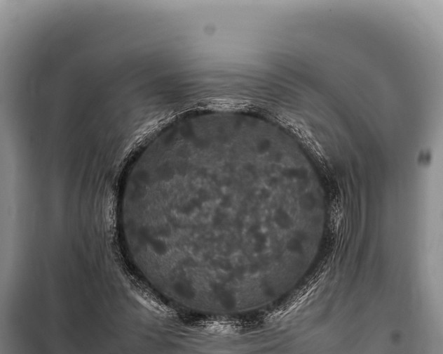 X0000100860303200806271206