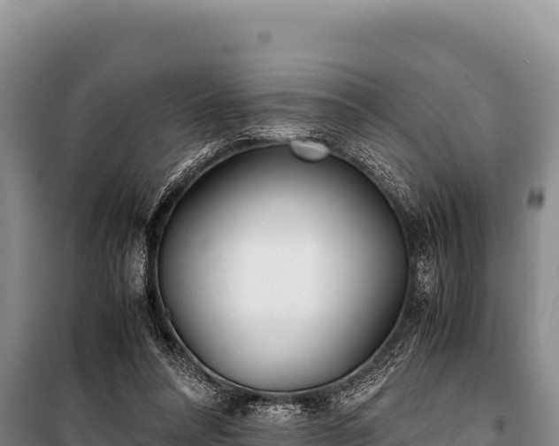 X0000100860304200806271206