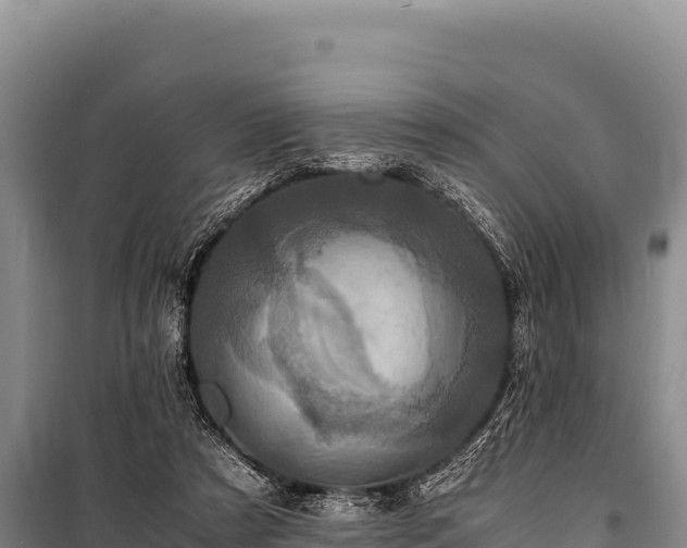 X0000100860305200806271206